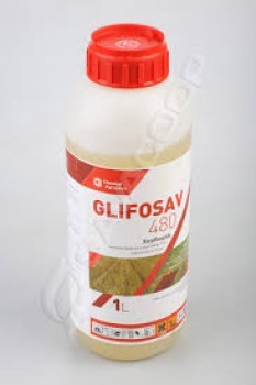 Glifosav 480 1/1lit /agrosava/