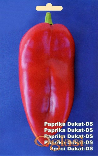 Paprika Dukat 10gr /bio produkt/