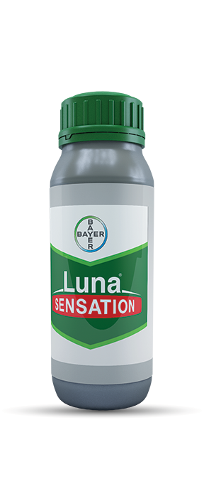 Luna sensation 100ml /bayer/
