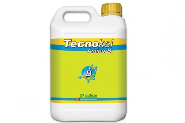 Tecnokel Amino B: pH 7-7,5; B 10% kao bor etanol amin 5/1 lit