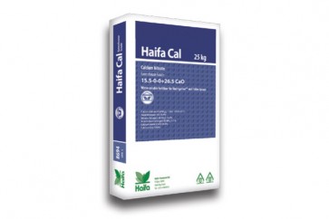 Multi CaL 15/0/0+26CaO GG 25/1kg /haifa/