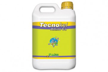 Tecnokel Amino Ca 1/1lit.