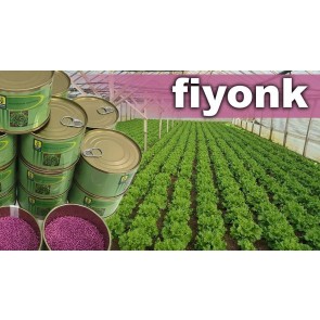 Salata FIYONK F1 10000 sem /yuksel/ NOVO - pilirano seme