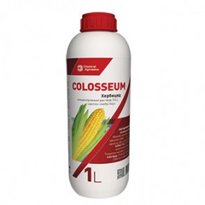 Colosseum 1/1 lit /agrosava/